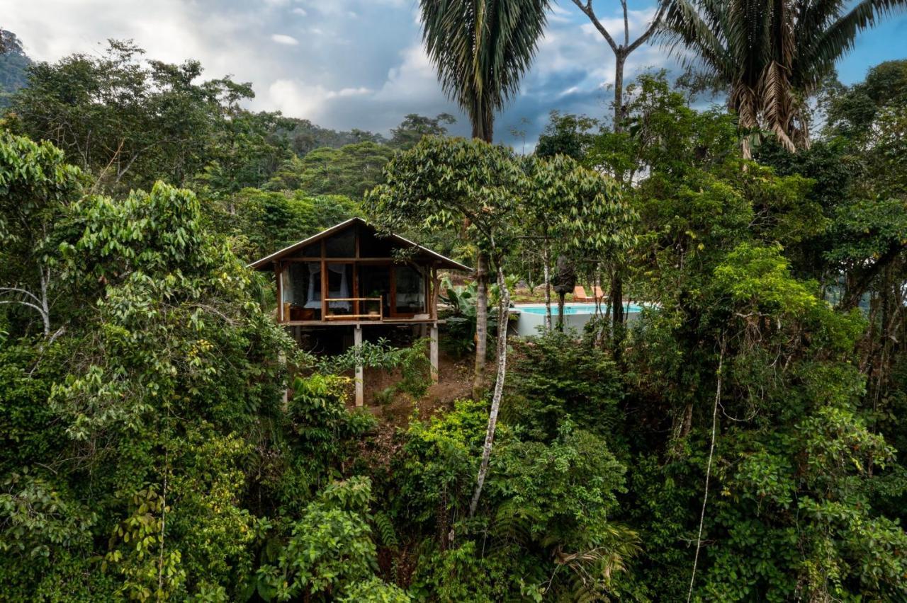 Wild Wasi Lodge - Adventures - Guided Tours Puyo Esterno foto