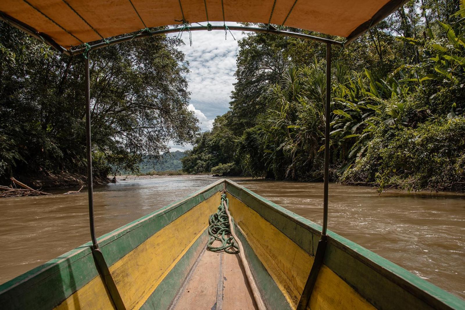 Wild Wasi Lodge - Adventures - Guided Tours Puyo Esterno foto