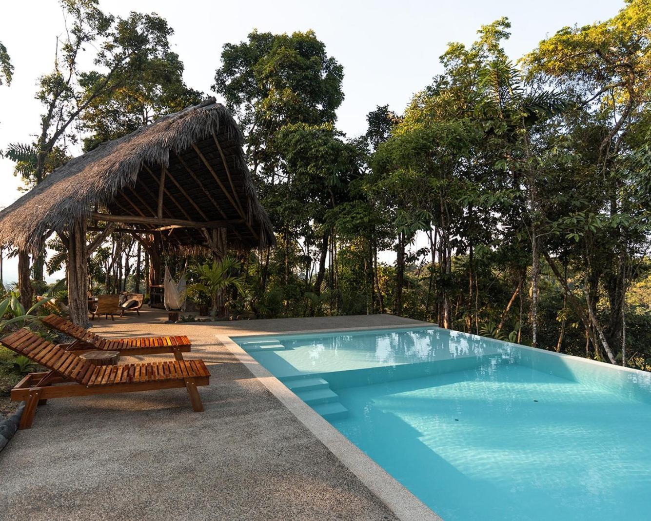 Wild Wasi Lodge - Adventures - Guided Tours Puyo Esterno foto