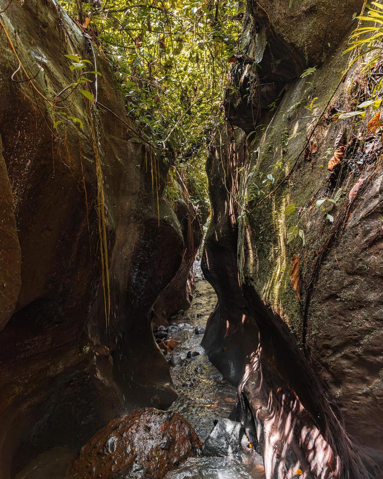Wild Wasi Lodge - Adventures - Guided Tours Puyo Esterno foto